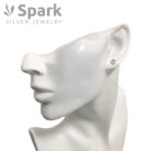 ピアス,シンプルピアス,かっこいい