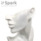 ピアス,レディース,大きめ