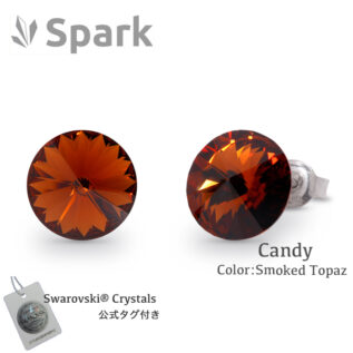 11月誕生石のピアス