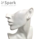 ピアス,swarovski,キラキラ