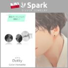 メンズピアス,ヘマタイト,スワロフスキー,プレゼント