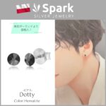 メンズピアス,ヘマタイト,スワロフスキー,プレゼント