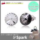 ピアス,スワロフスキー,片耳,メンズ