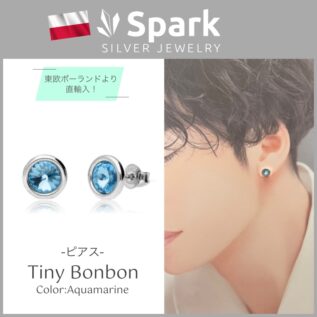 ピアス,スワロフスキー,メンズ,アクアマリン,シルバー