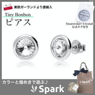 ピアス,スワロフスキーピアス,シルバーピアス,メンズ,プレゼント