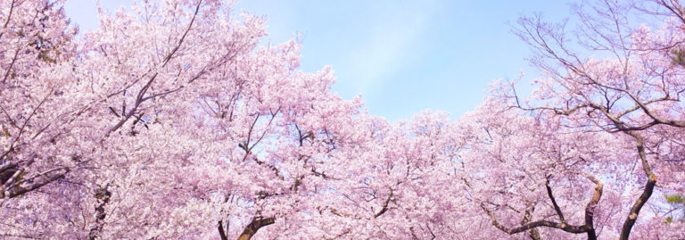 女性にさり気なく渡すプレゼントに人気なピアス